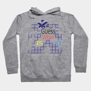 Guess What Maze Hoodie